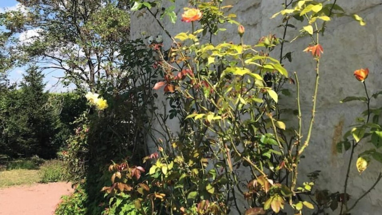 Photo of Outdoor in Berthegon