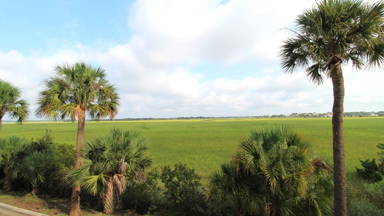 Photo of Others in Folly Beach