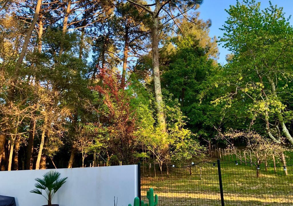 Photo of Outdoor in Boucau