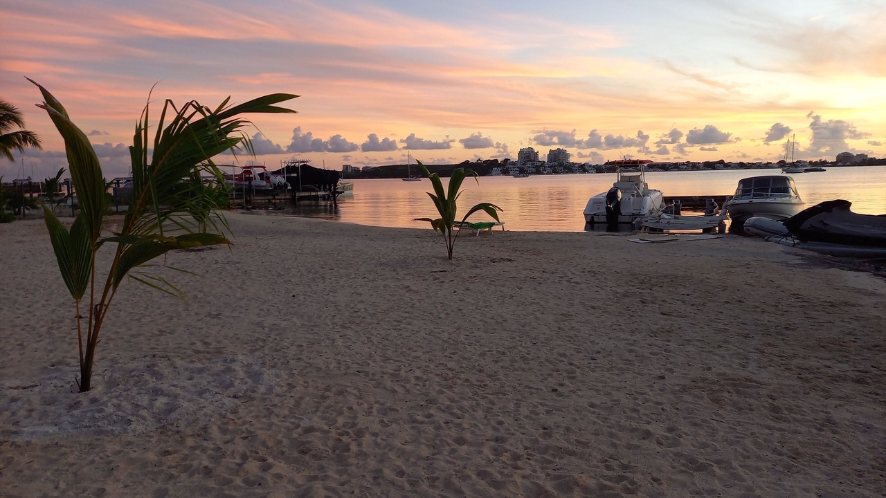 Photo of Others in Nettle Bay