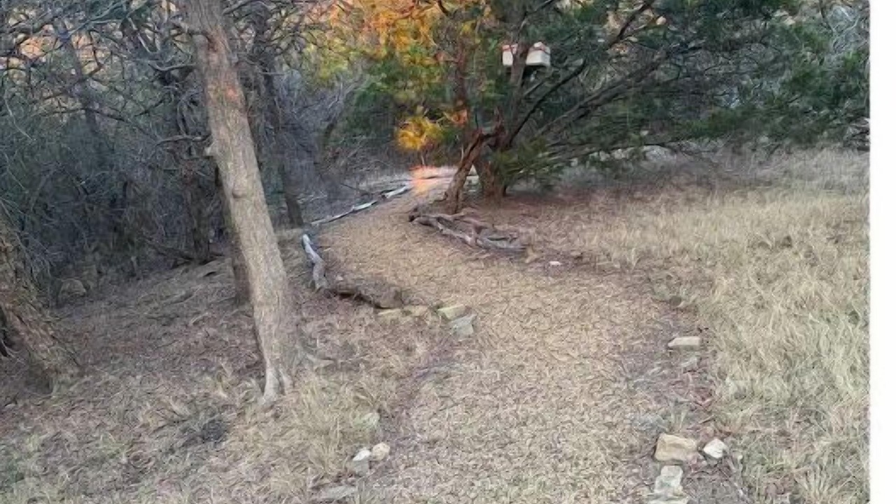 Photo of Outdoor in Cedar Hill