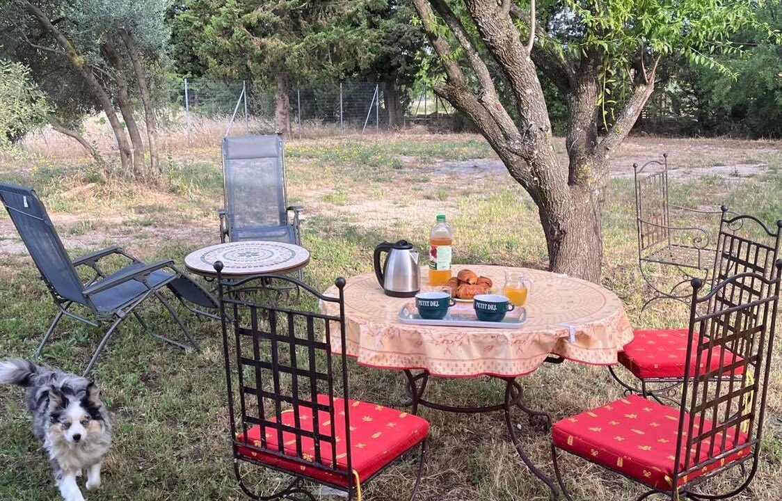 Photo of Outdoor in Violes