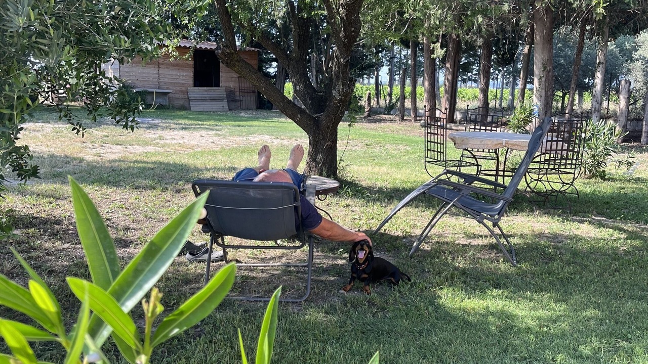 Photo of Outdoor in Violes