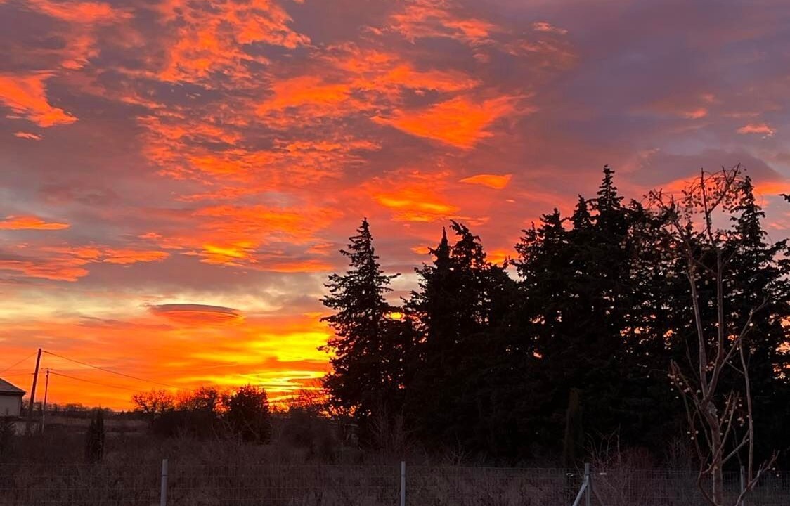 Photo of Others in Violes