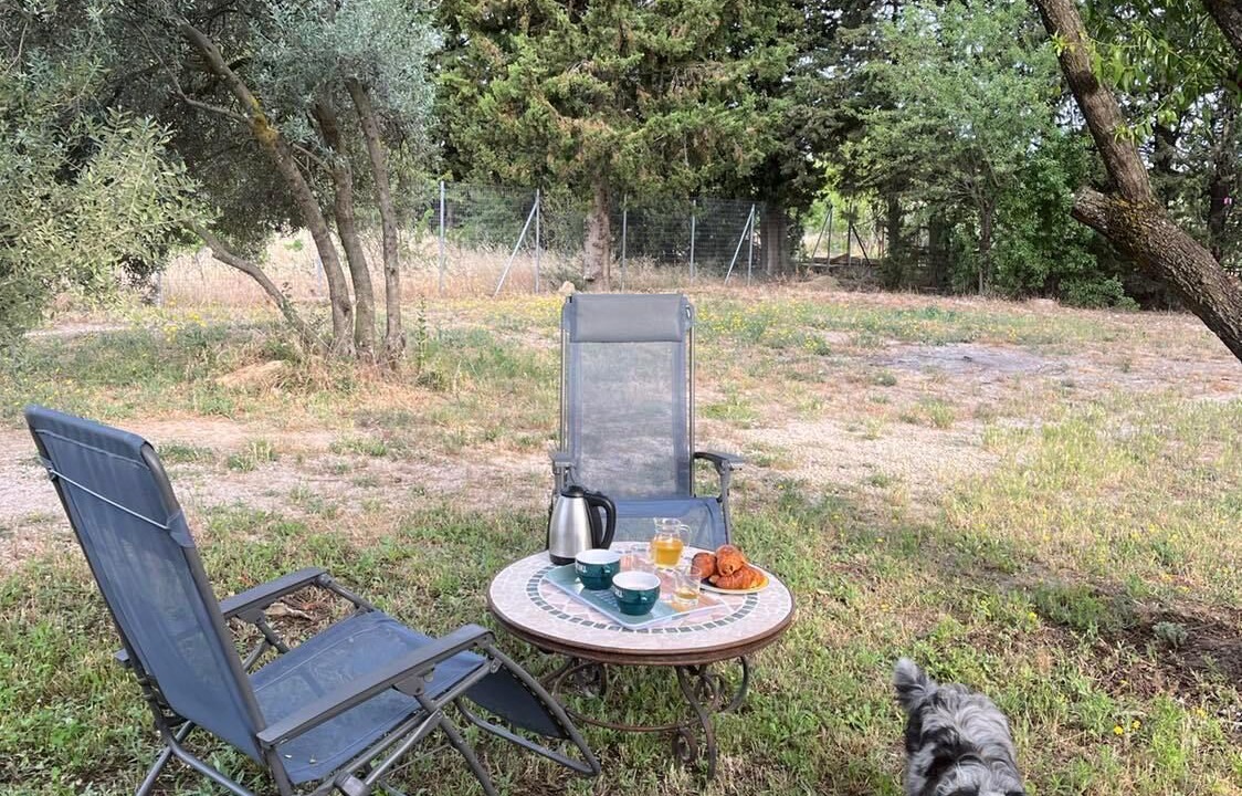 Photo of Outdoor in Violes