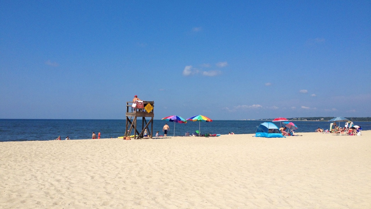 Photo of Others in Dennis Port