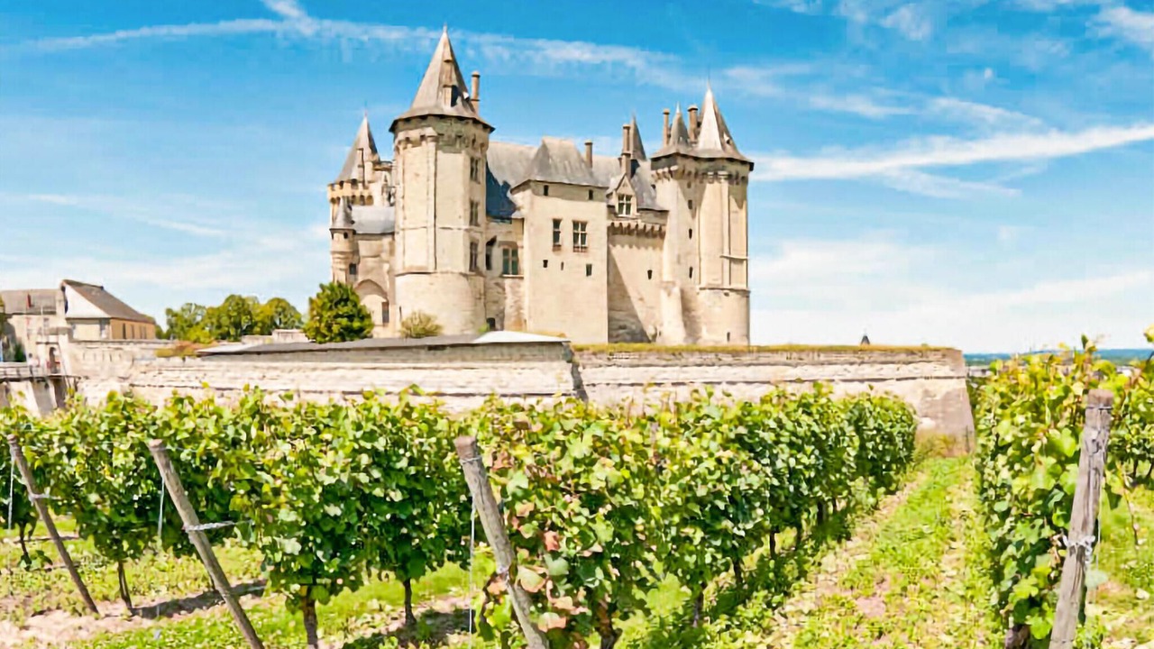 Photo of Outdoor in Chateau-la-Valliere