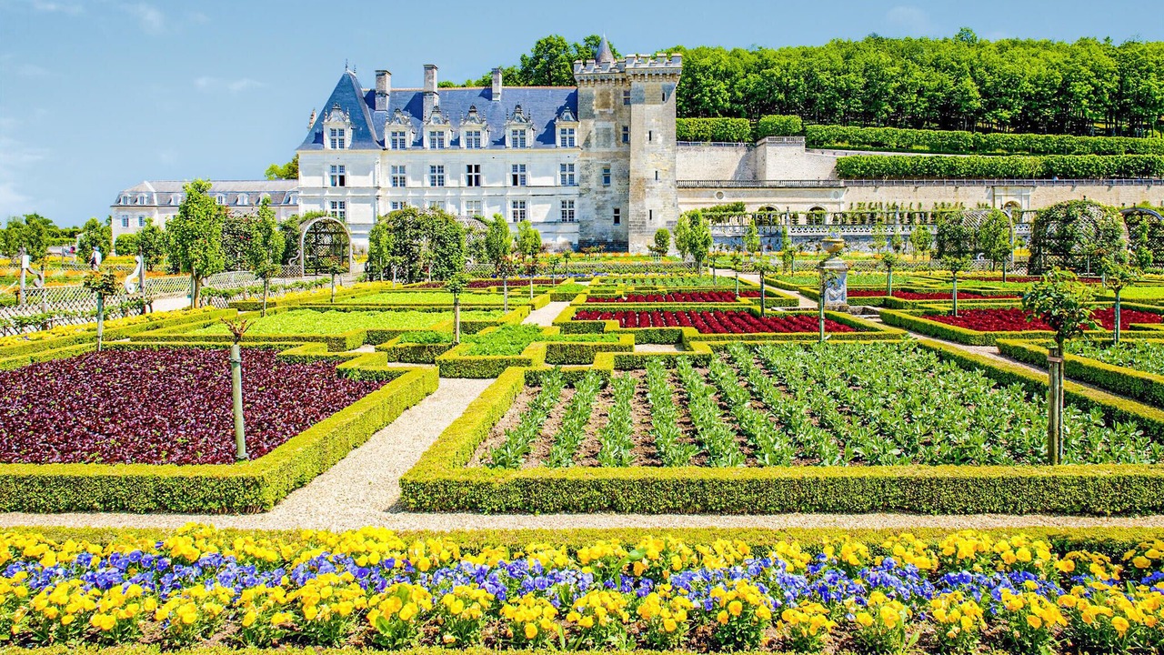 Photo of Others in Chateau-la-Valliere