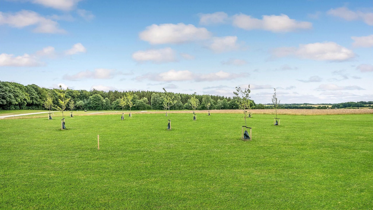 Photo of Others in Kolding