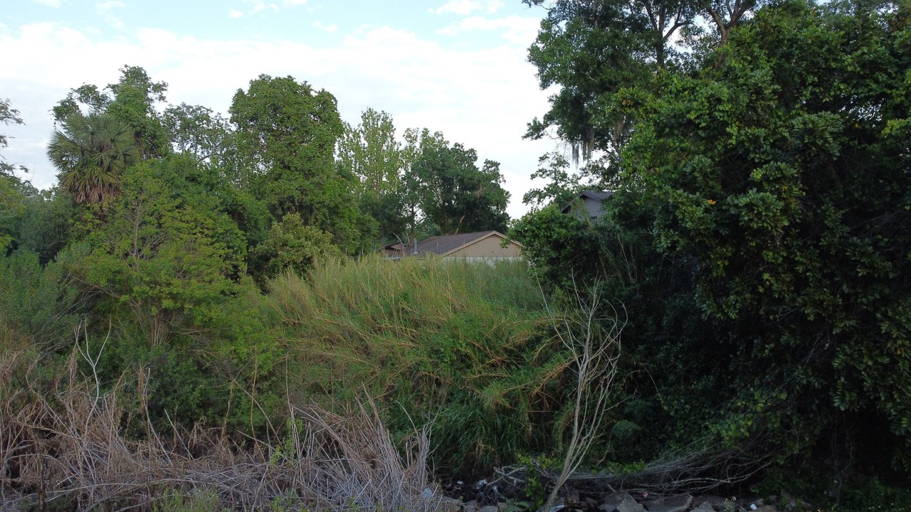 Photo of Others in Palm Harbor