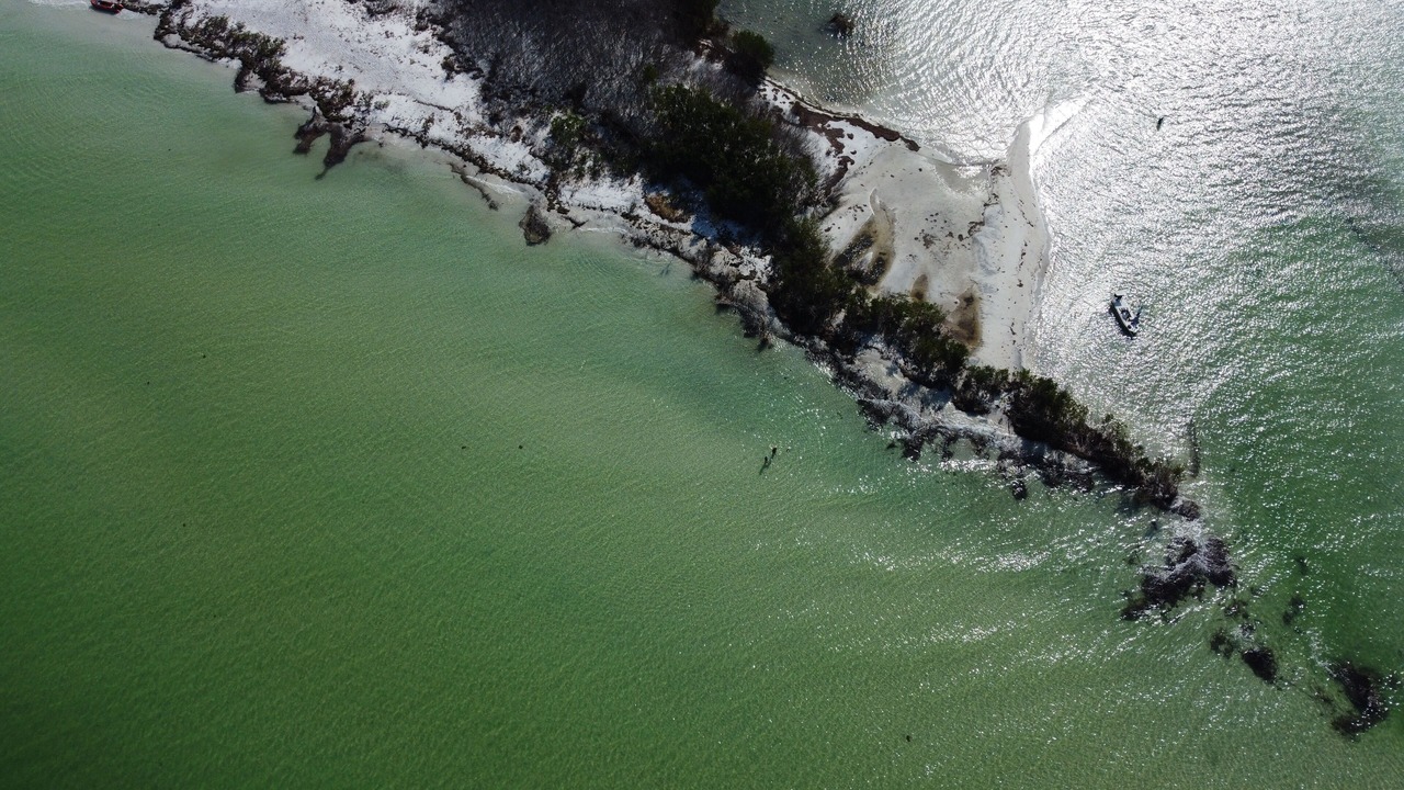 Photo of Outdoor in Palm Harbor