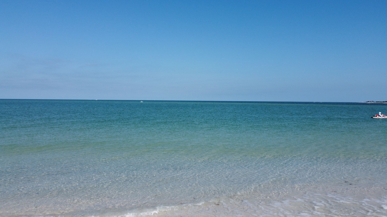 Photo of Others in Palm Harbor