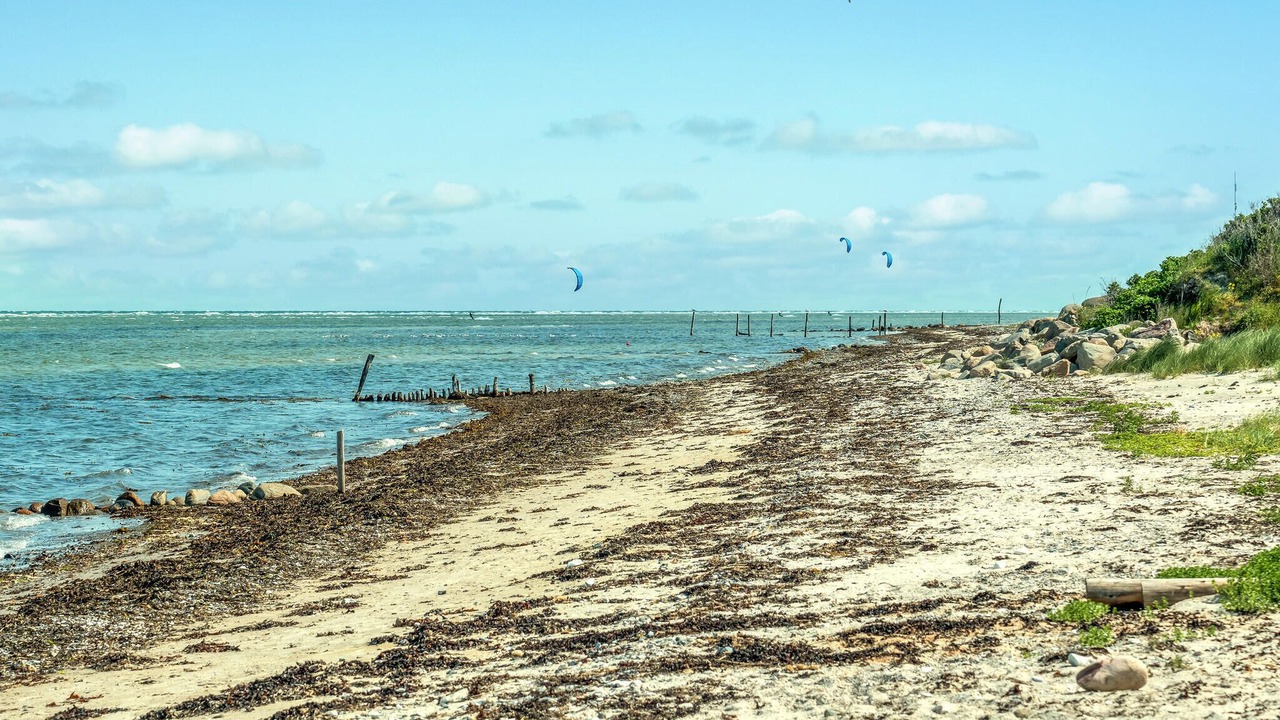 Photo of Others in Fjellerup Strand