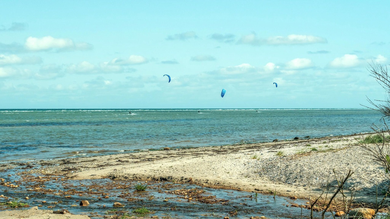 Photo of Others in Fjellerup Strand