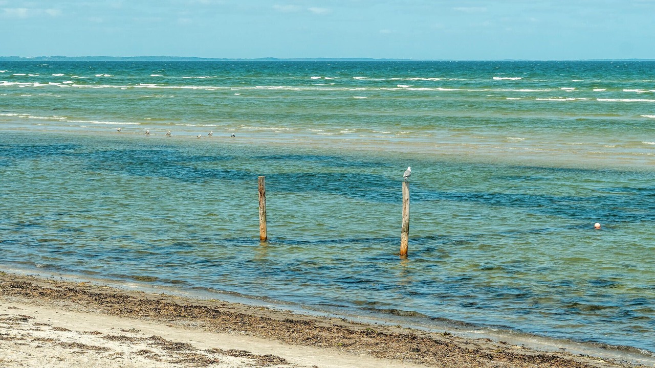 Photo of Others in Fjellerup Strand