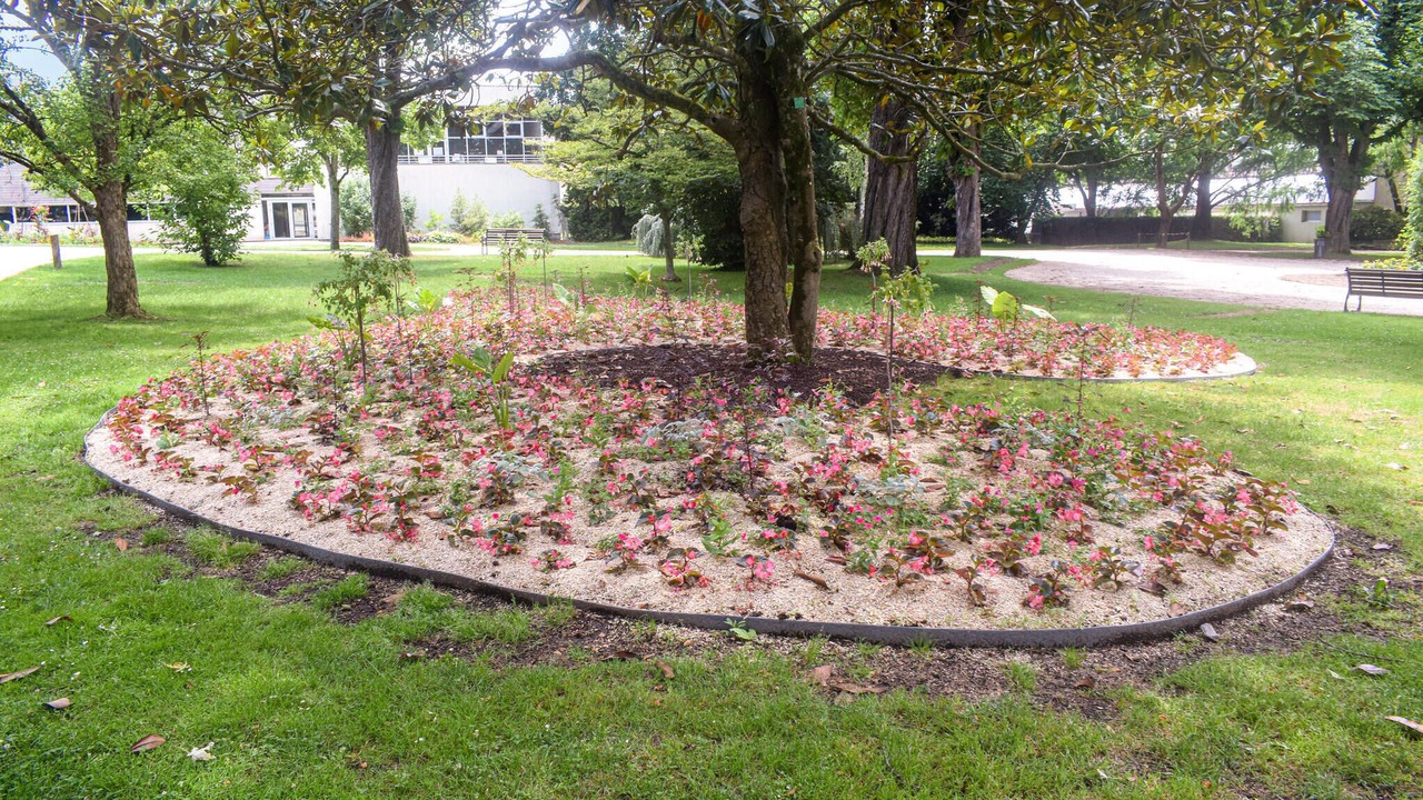 Photo of Outdoor in Ardentes