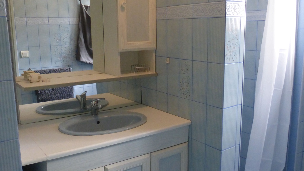 Photo of Bathroom in La Bridoire