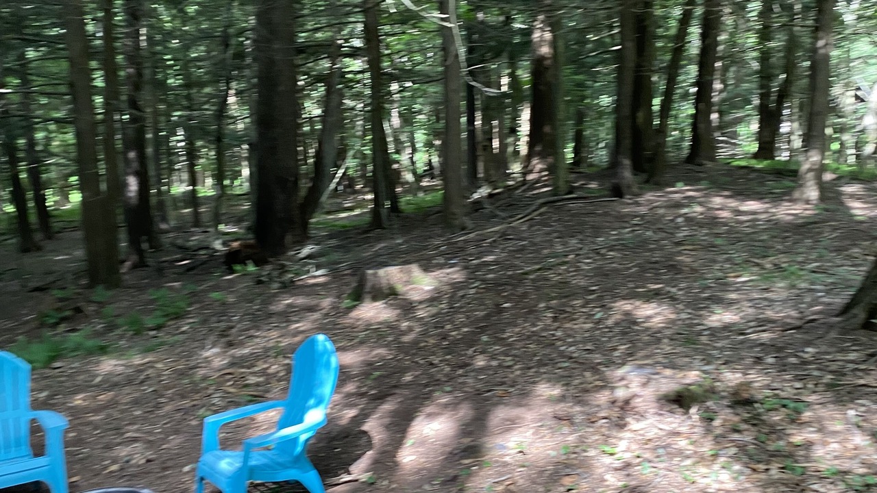 Photo of Outdoor in Dewittville