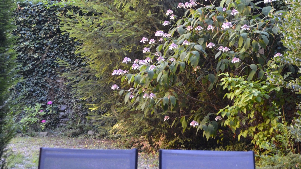 Photo of Outdoor in Evian-les-Bains