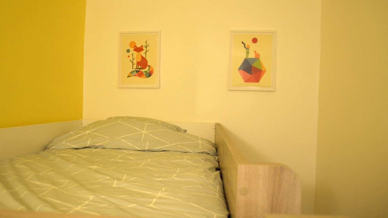 Photo of Bedroom in Evian-les-Bains