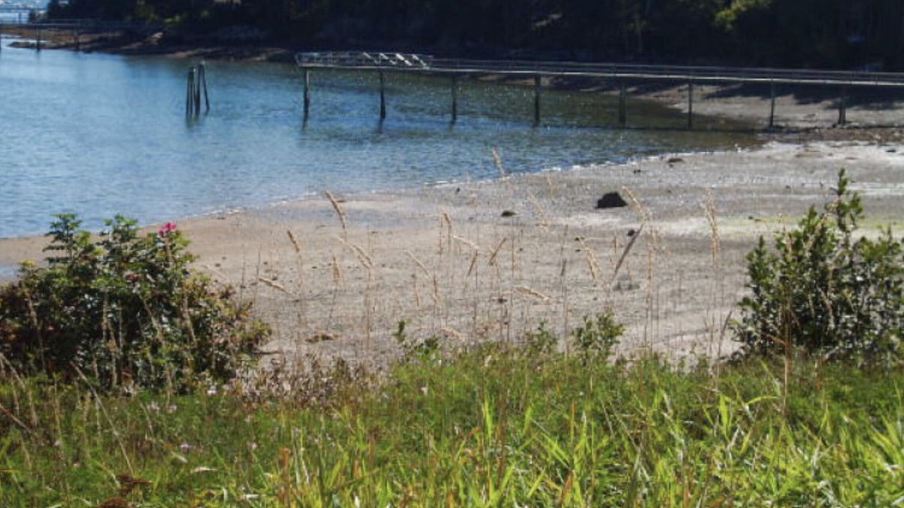 Photo of Others in Southwest Harbor