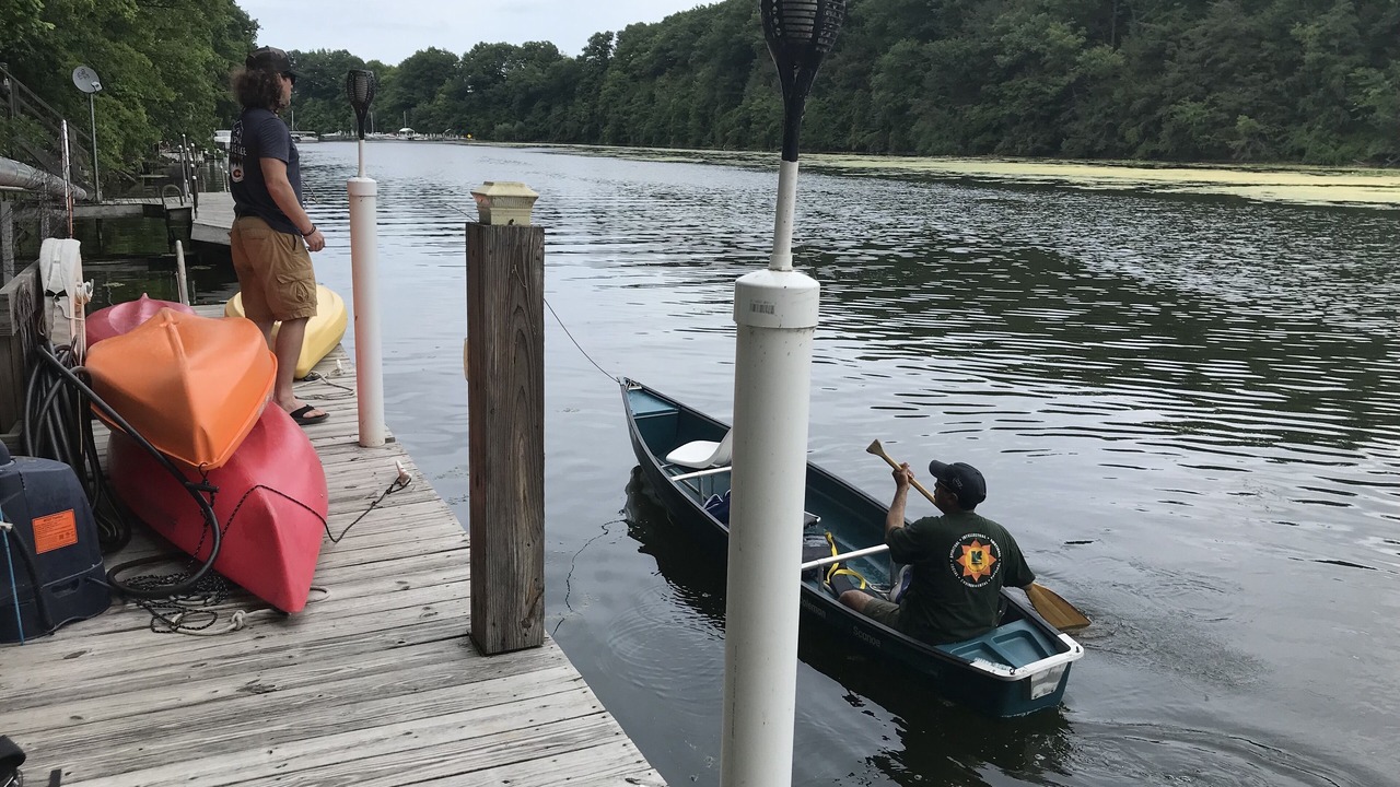 Photo of Others in Waterport