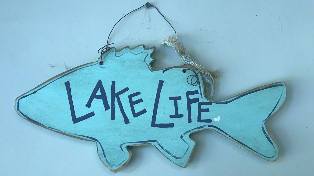 Photo of Outdoor in Waterport