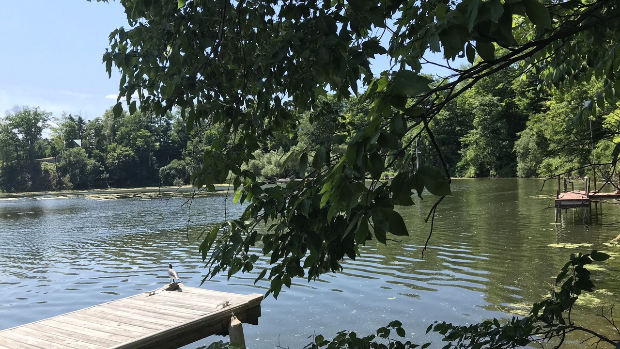 Photo of Others in Waterport