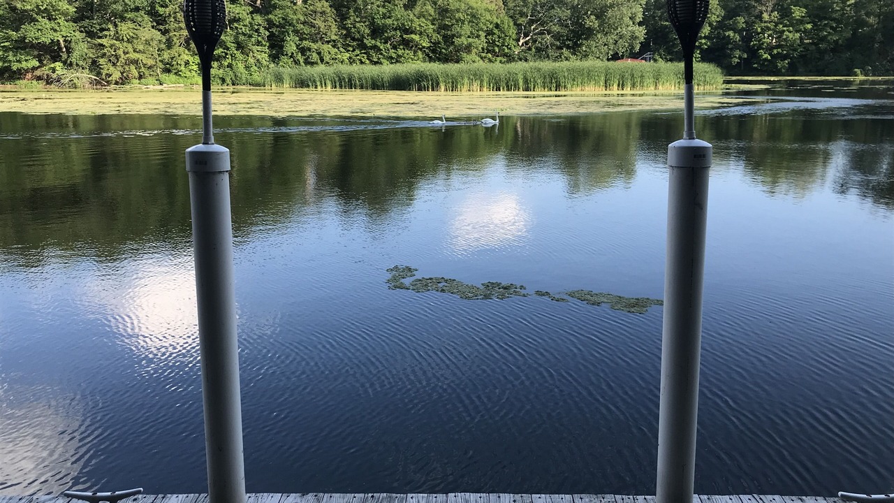 Photo of Outdoor in Waterport