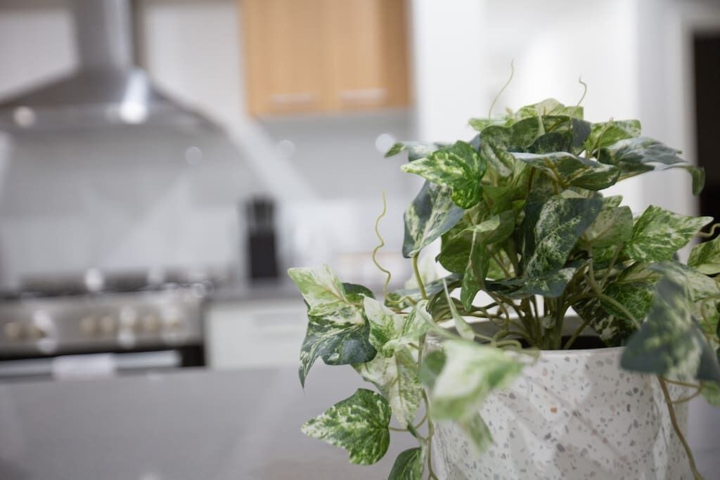 Photo of Kitchen in Werribee