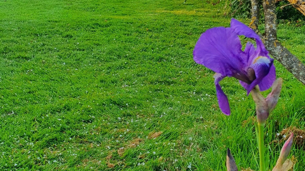 Photo of Outdoor in Vitot