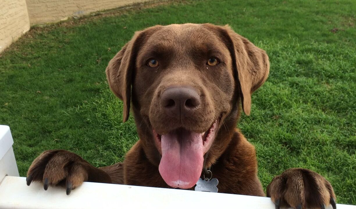 Photo of Others in Waianae