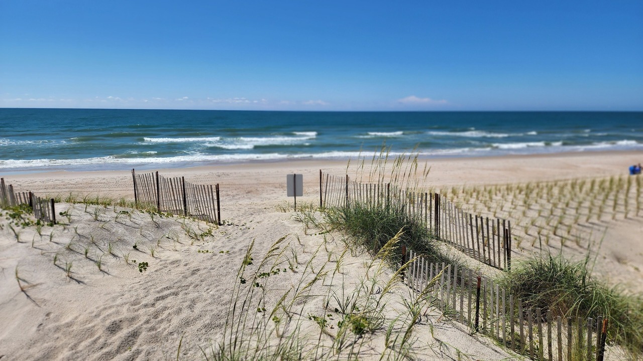 Photo of Others in Surf City