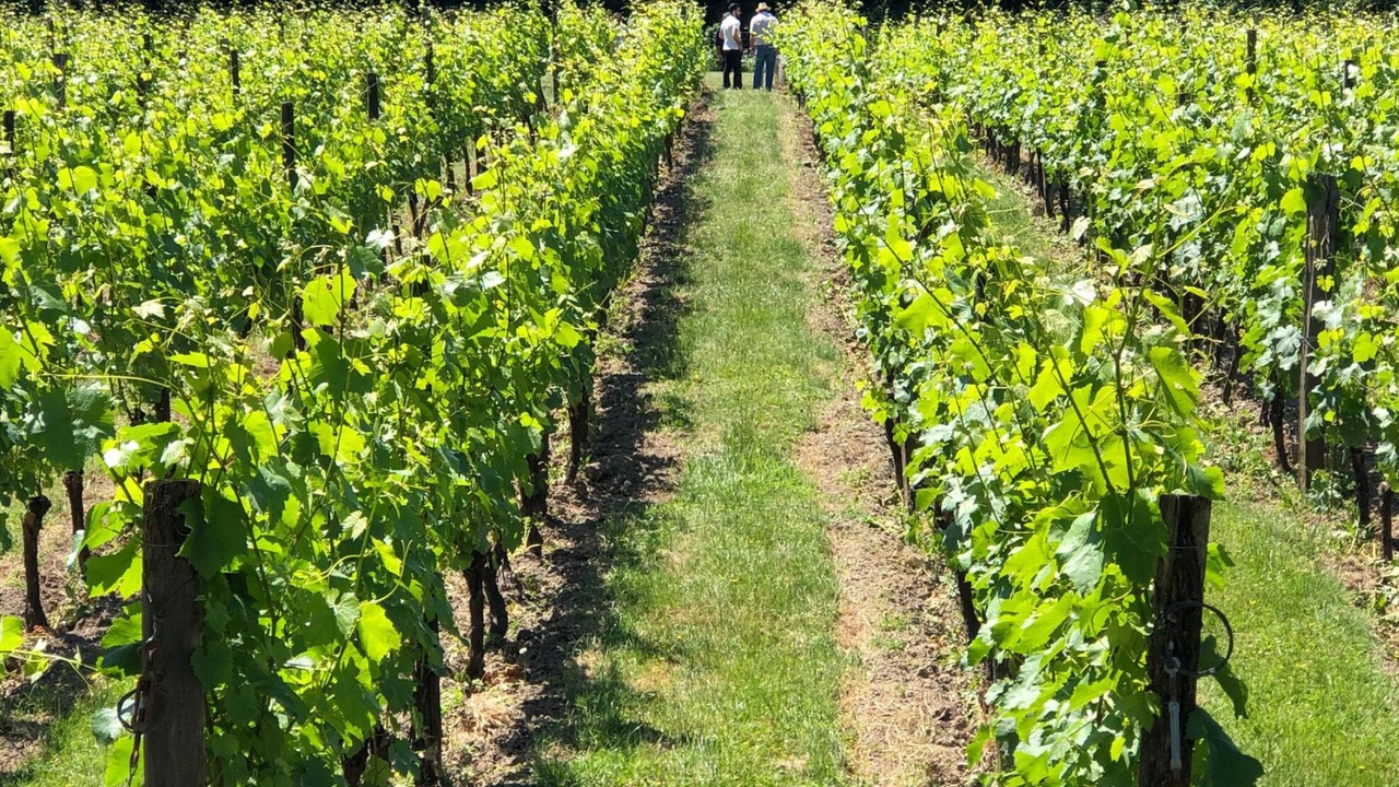 Photo of Outdoor in La Ferte-sous-Jouarre
