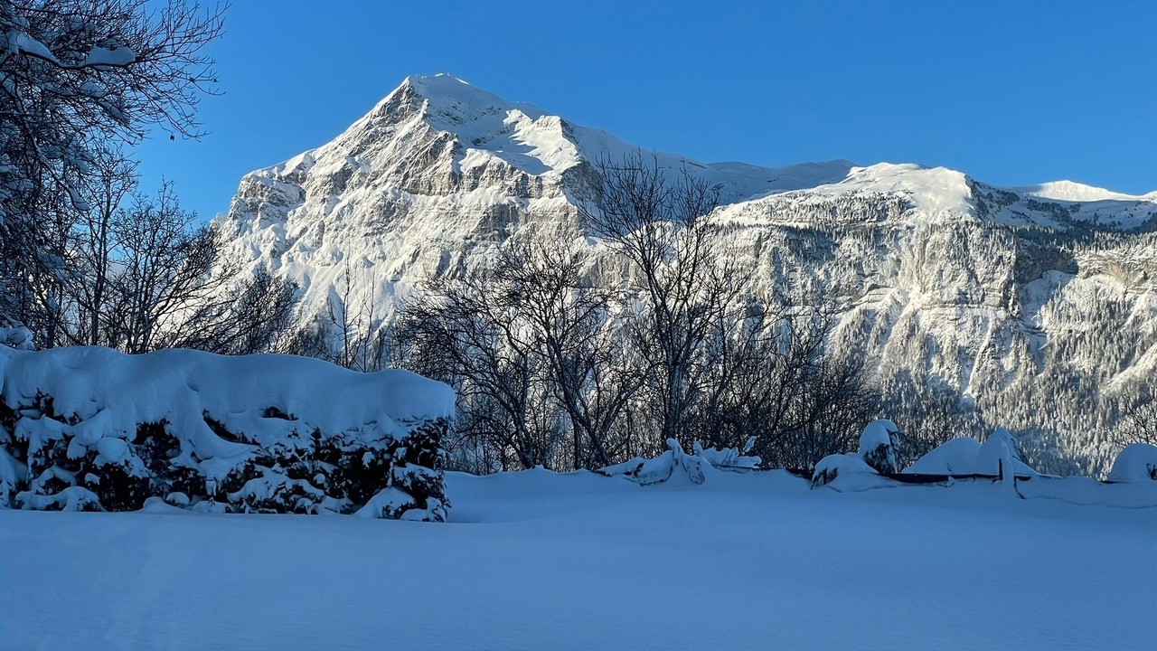 Photo of Others in Araches-la-Frasse