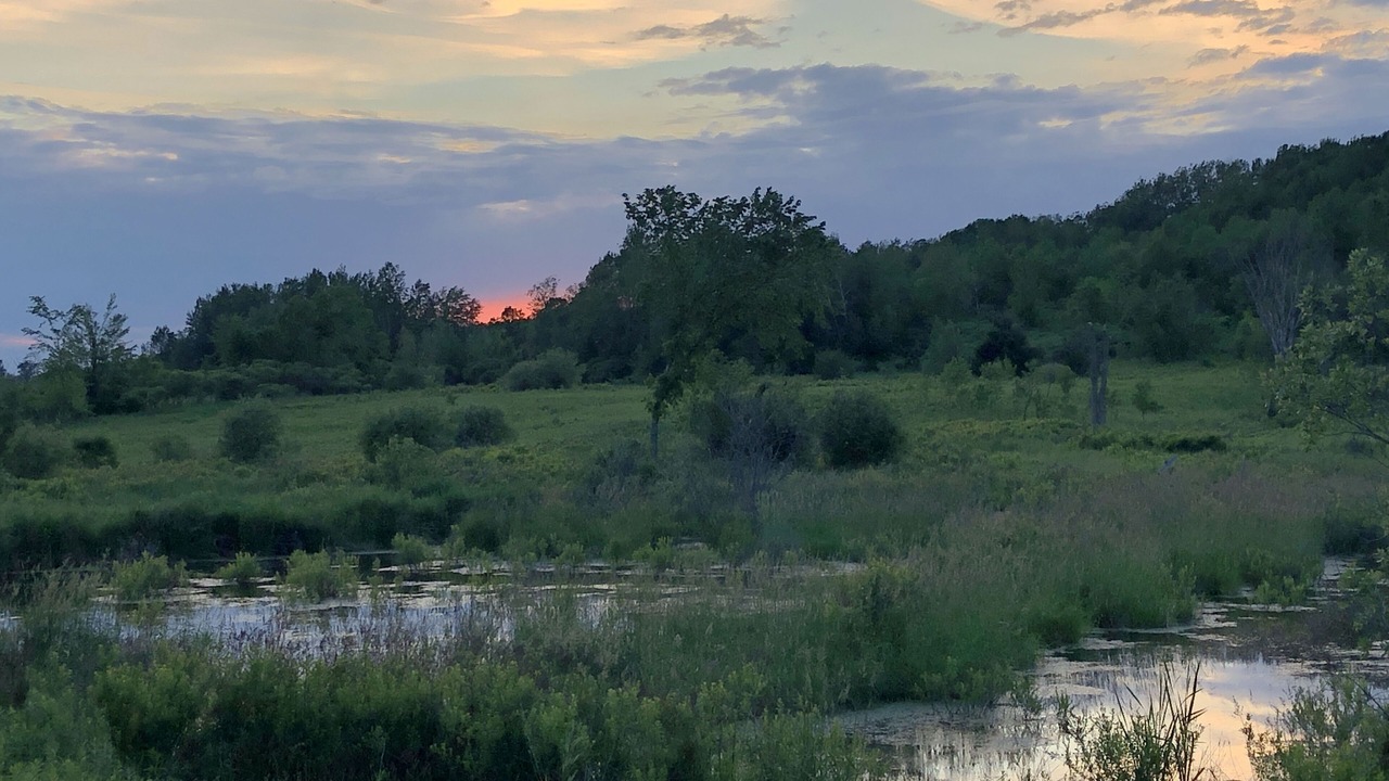 Photo of Outdoor in Plantagenet
