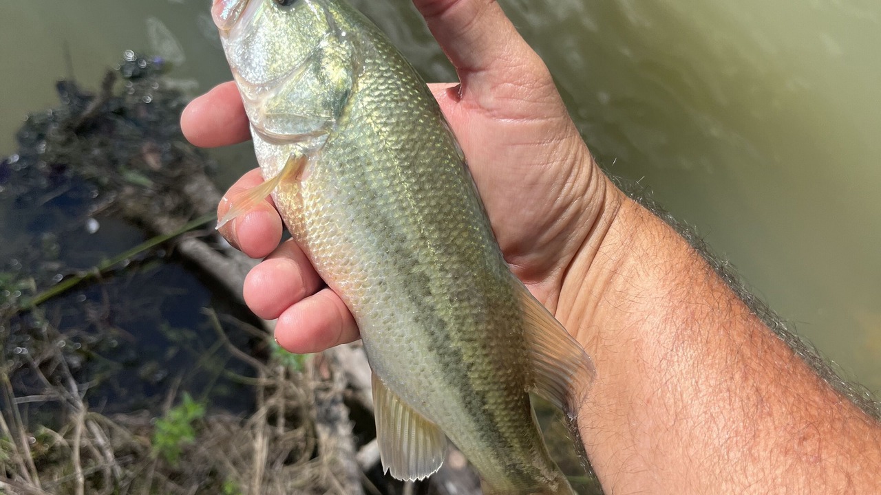 Photo of Outdoor in Montgomery County