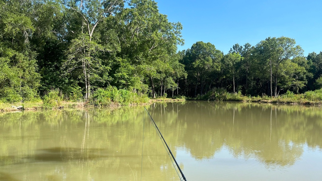 Photo of Others in Montgomery County