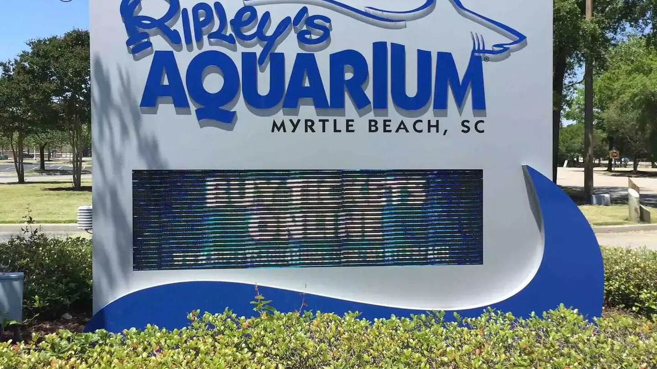 Photo of Outdoor in Central Myrtle Beach