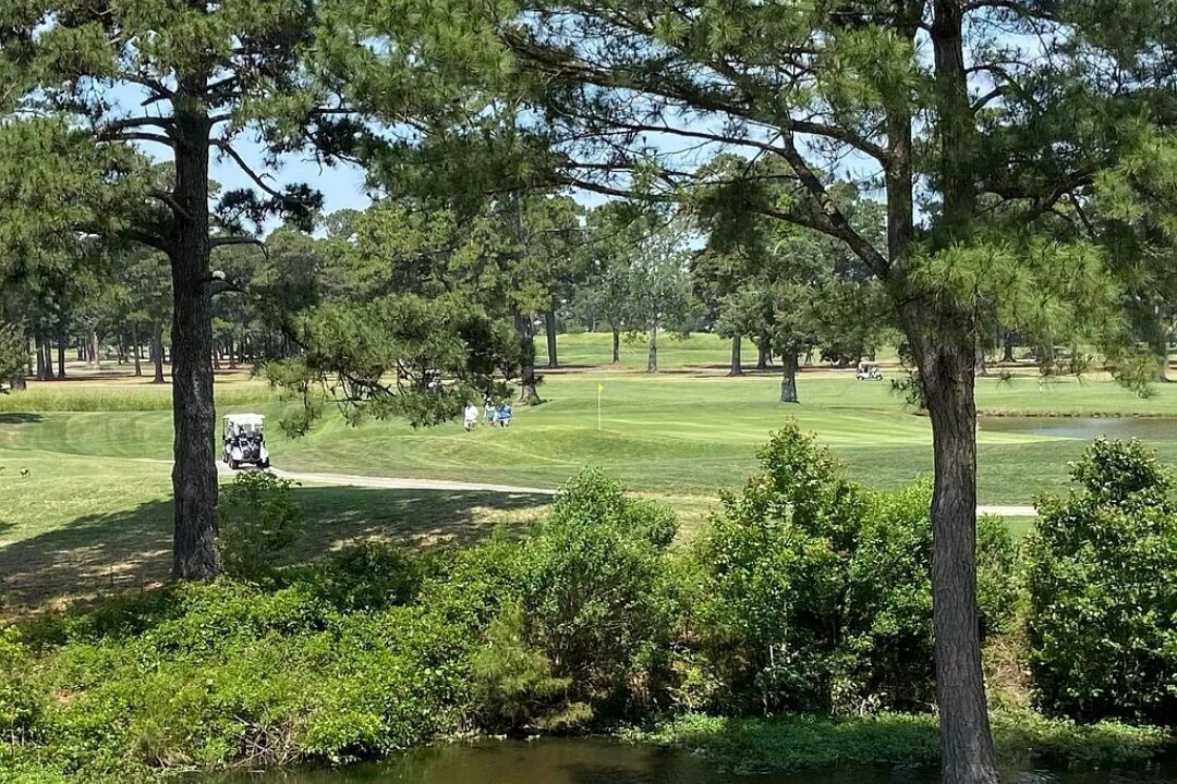Photo of Others in Central Myrtle Beach