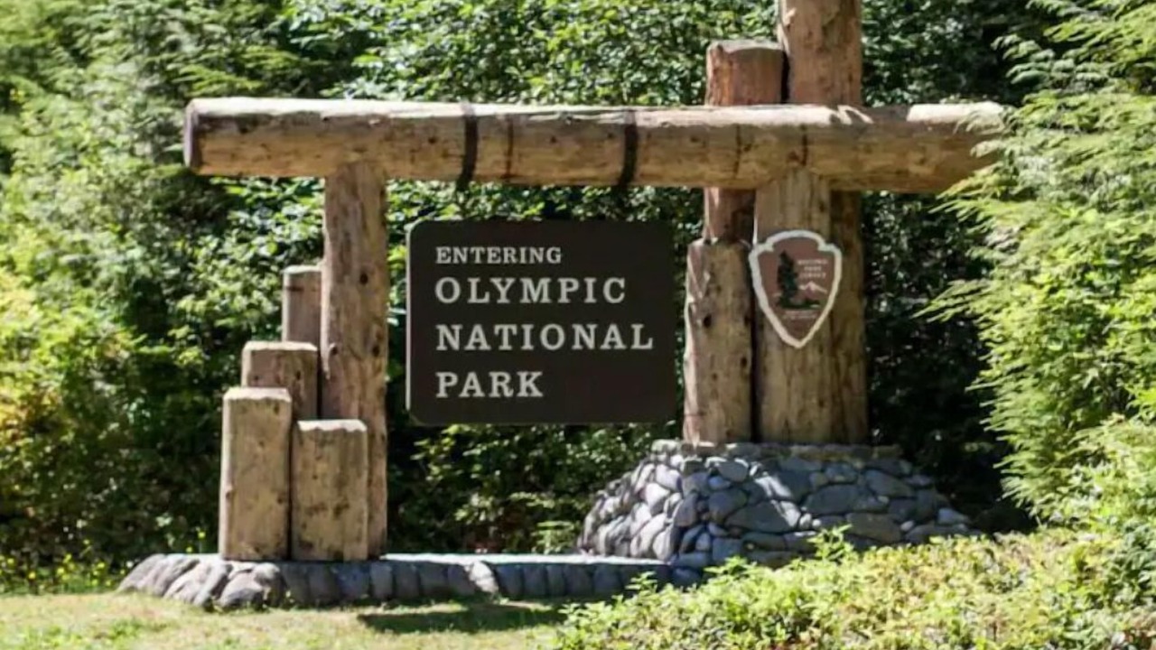 Photo of Others in Port Angeles