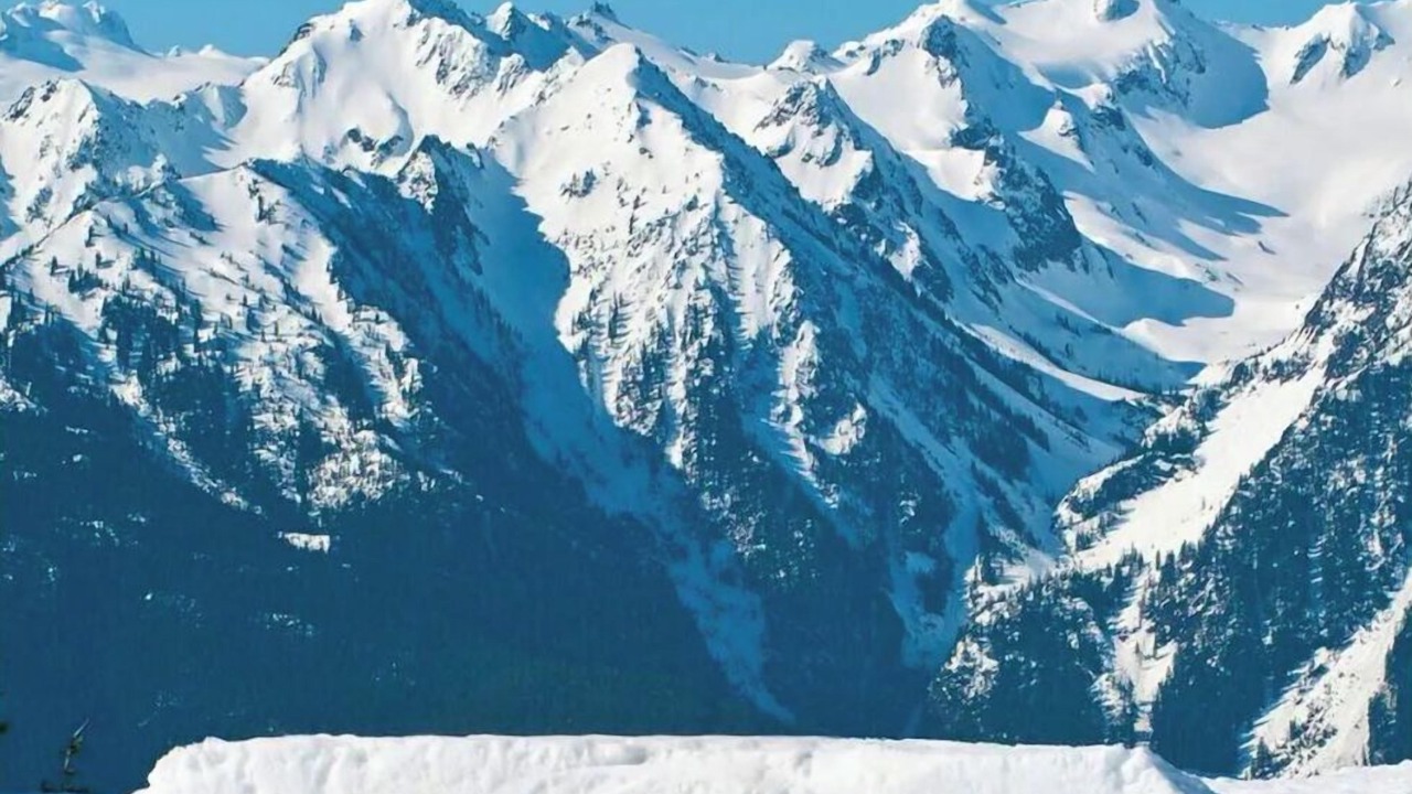 Photo of Others in Port Angeles