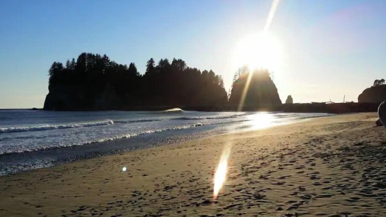 Photo of Others in Port Angeles