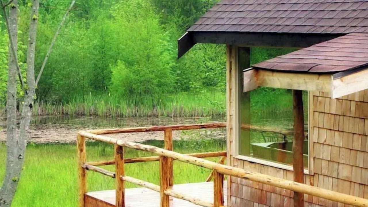 Photo of Others in Port Angeles