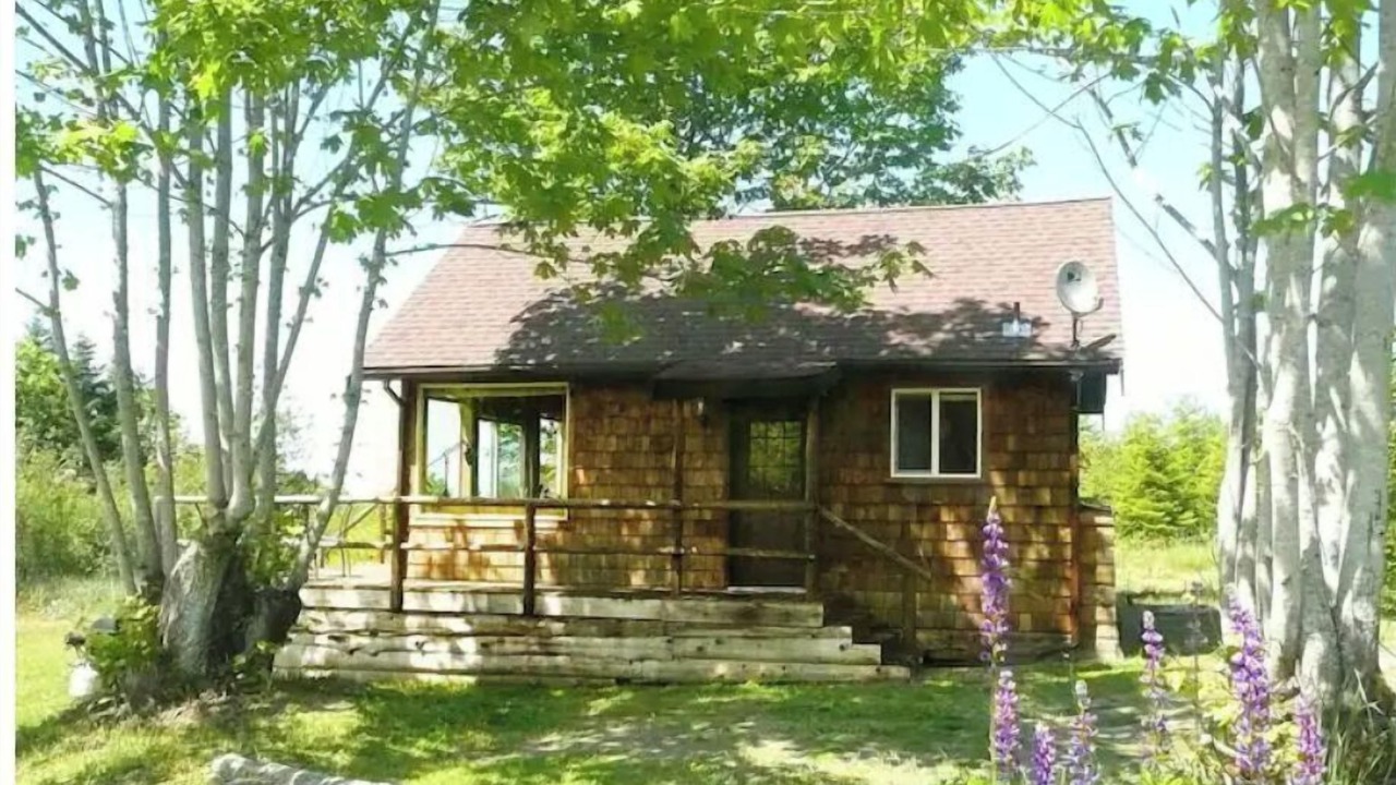 Photo of Others in Port Angeles