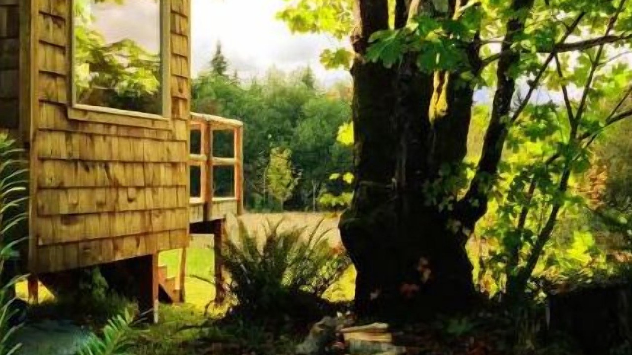 Photo of Outdoor in Port Angeles