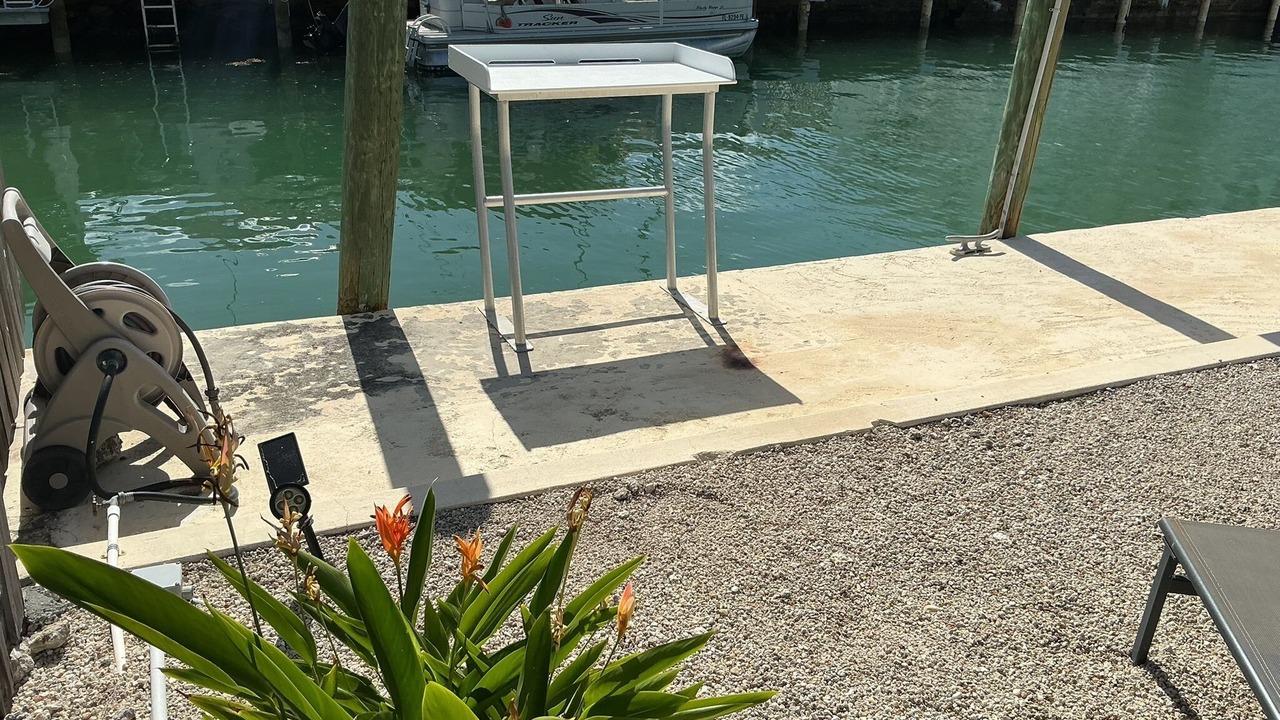 Photo of Others in Little Venice