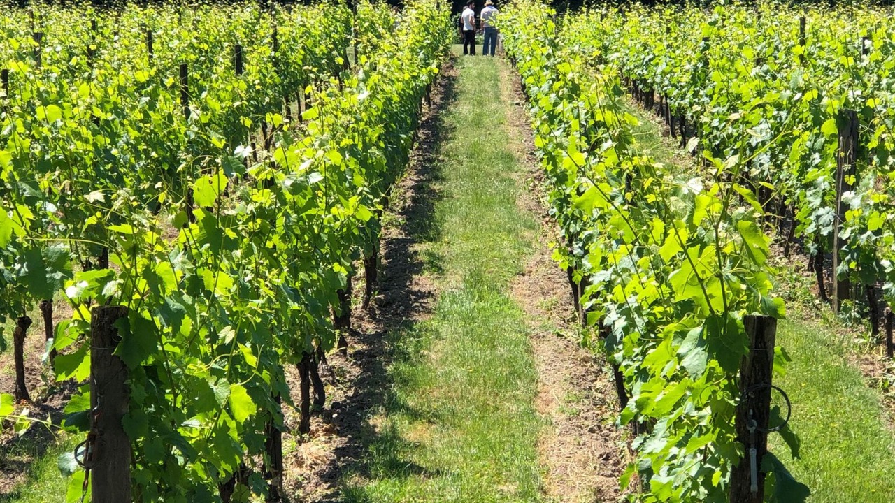 Photo of Outdoor in La Ferte-sous-Jouarre