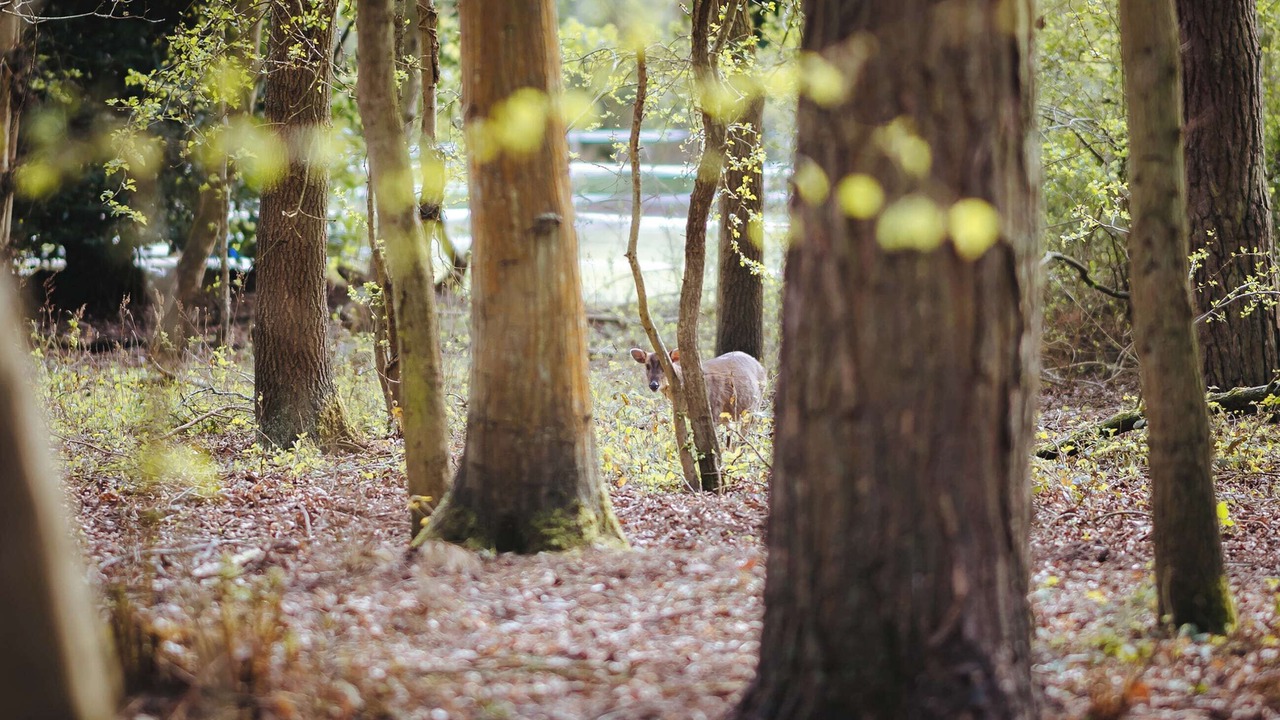 Photo of Others in Melton Constable