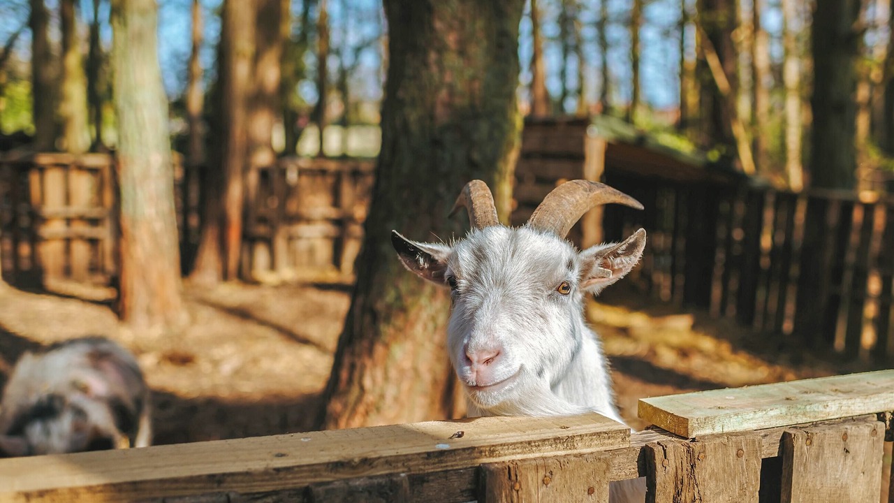 Photo of Others in Melton Constable
